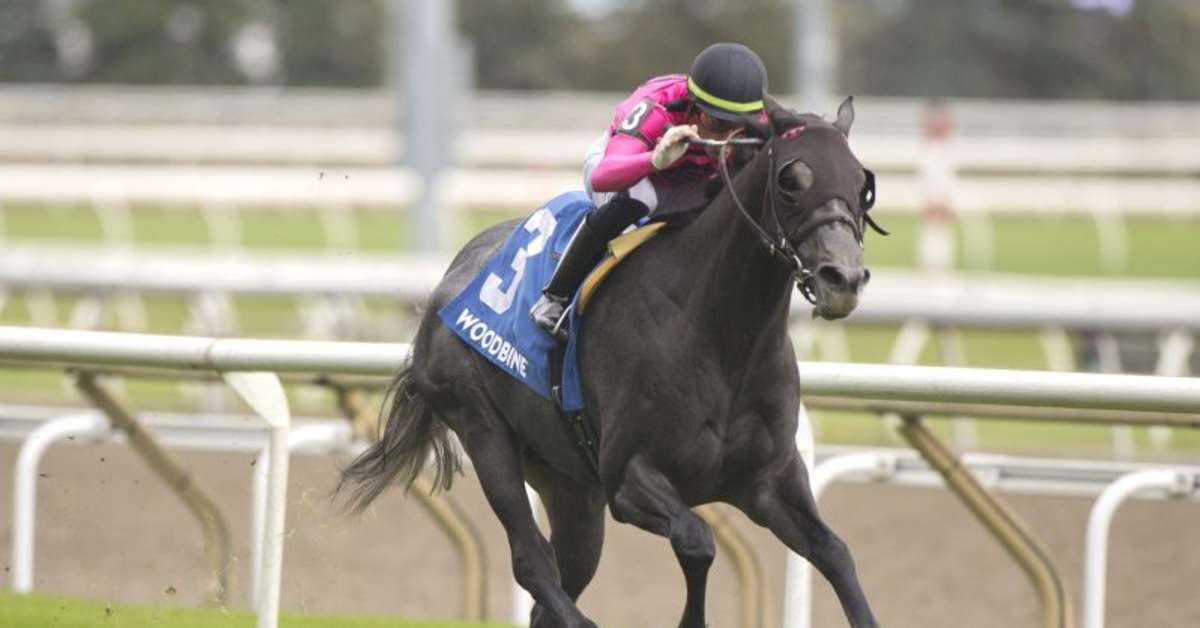 101 Nominated To 2024 Canadian Triple Crown Paulick Report Latest news and commentary from