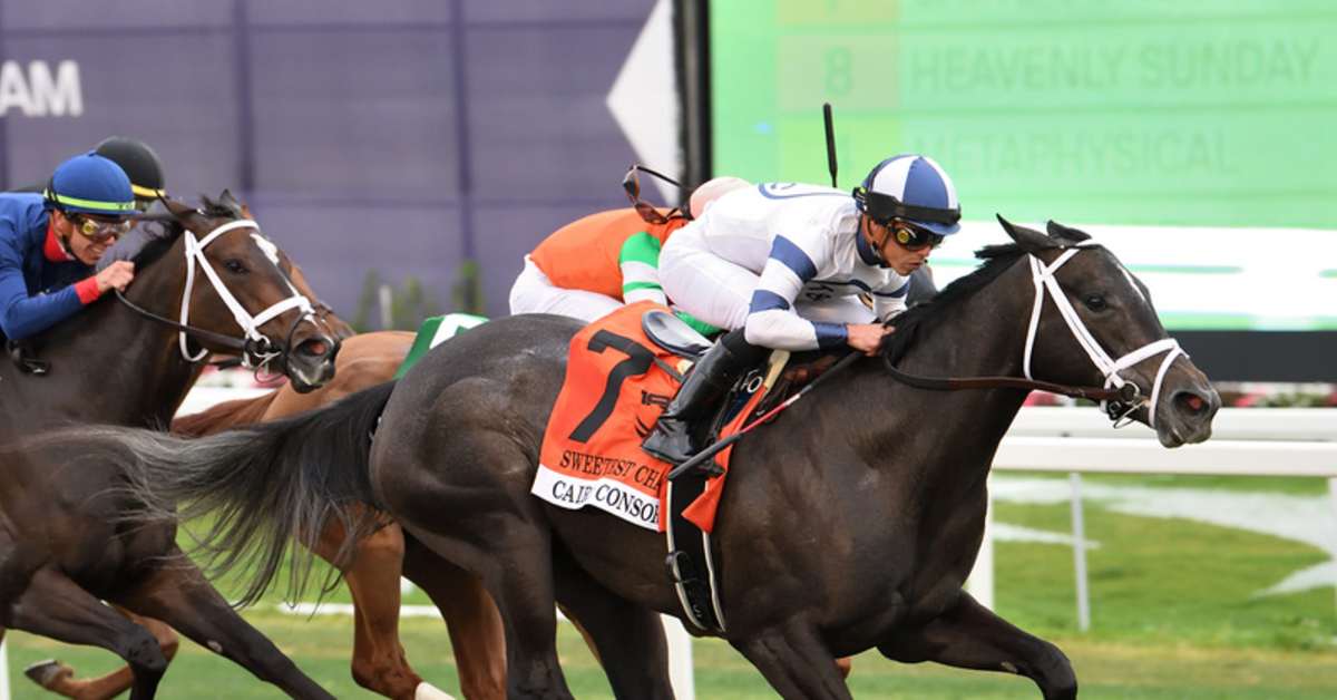 FasigTipton's 2025 June Digital Sale Catalog Now Online Paulick