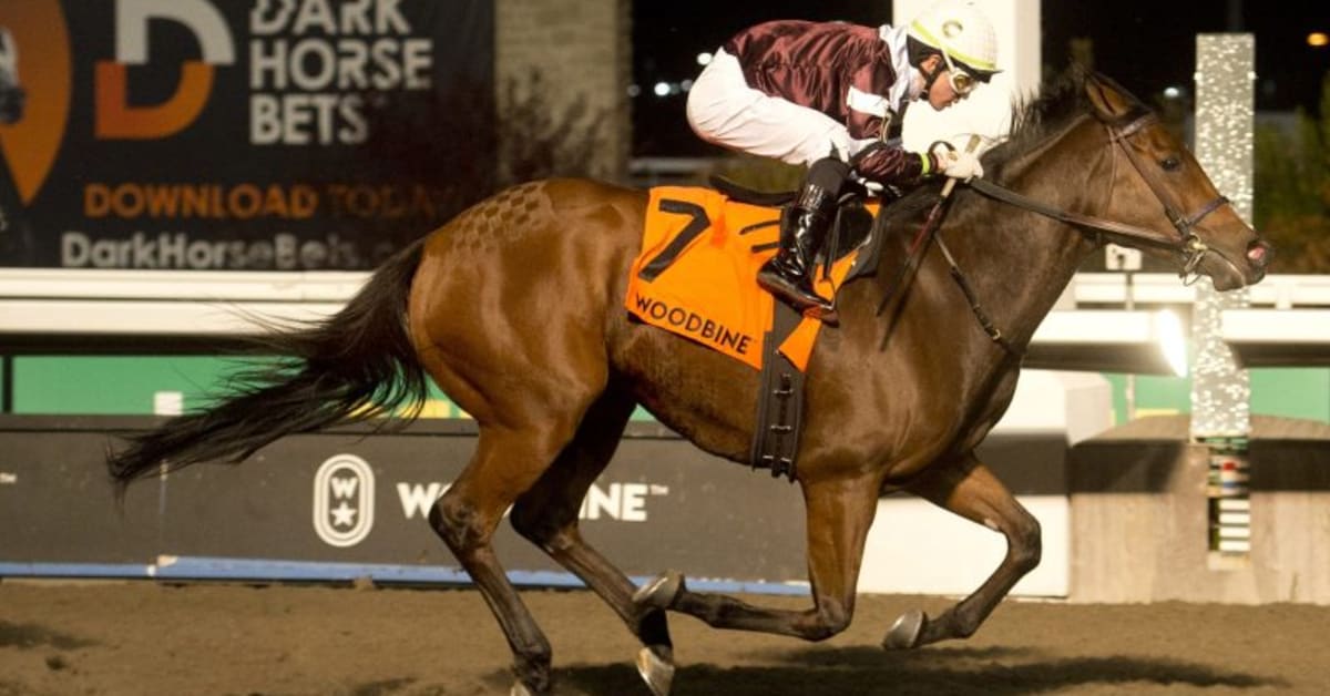 Canada's Graded Stakes For 2024 Holding Steady At 42 Paulick Report