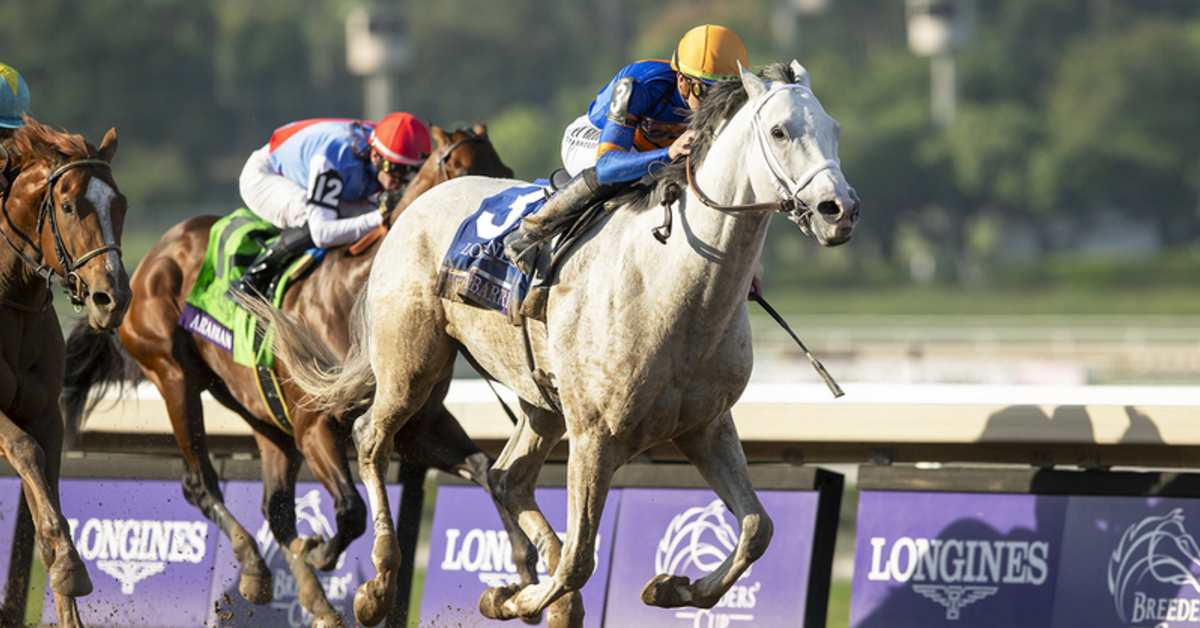 'Very Special Horse' White Abarrio Pleases Dutrow With Santa Anita