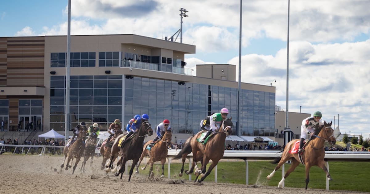 Turfway Park Handle Up 17 Percent In 2024 Paulick Report Shining Light on the Horse Industry