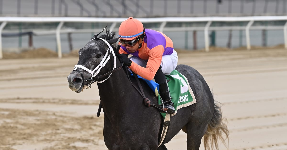 Road To The Kentucky Derby Bergen Leads Four Brad Cox Entrants In