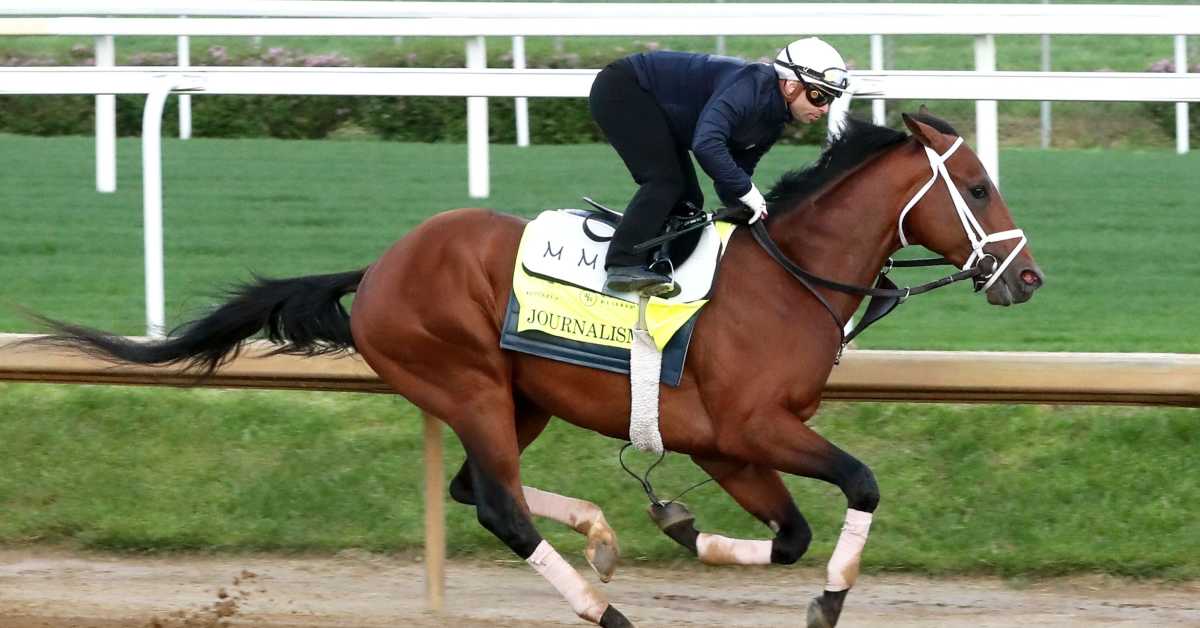 Journalism Horse 2025r John 2025 