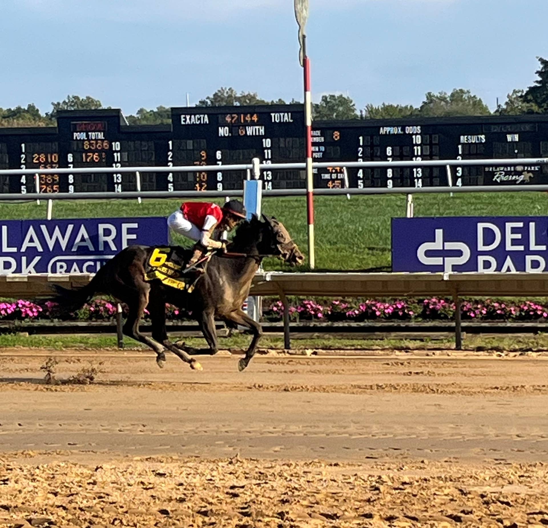 Regaled Regaled Scores Elusive First Stakes Win In Delaware Handicap; Cooke ...