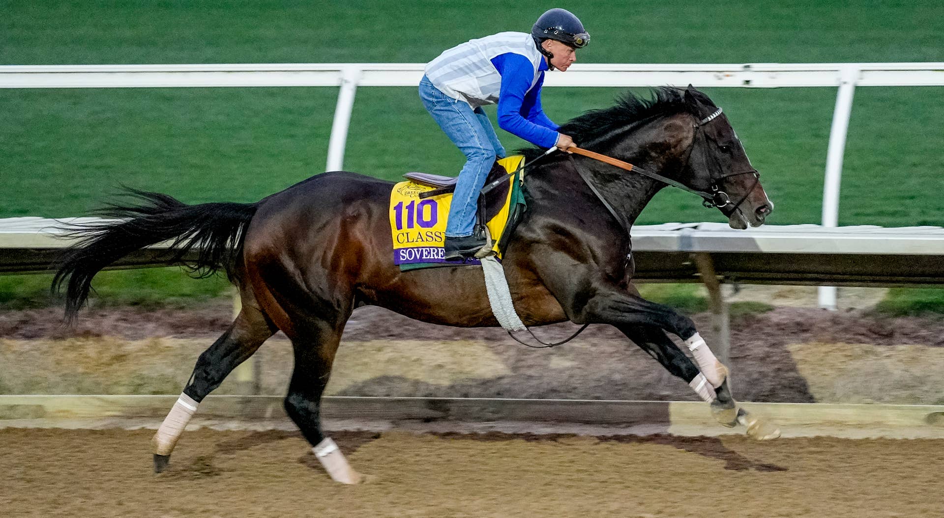 'The One Thing You Can't Control' Breeders' Cup Classic Favorite