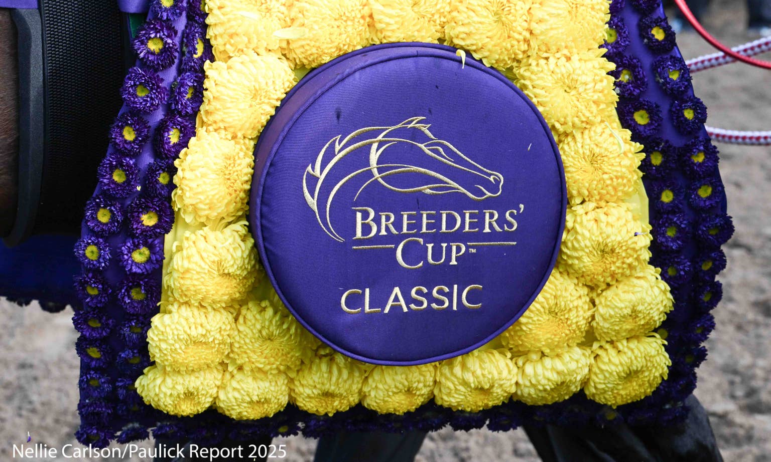 Breeders' Cup To Provide Record $6.5 Million In Free Entry Fees Through ...