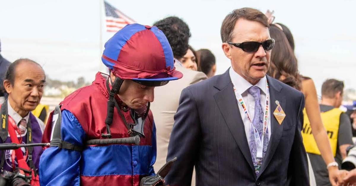 Explanations And Excuses Connections React In 2024 Breeders' Cup