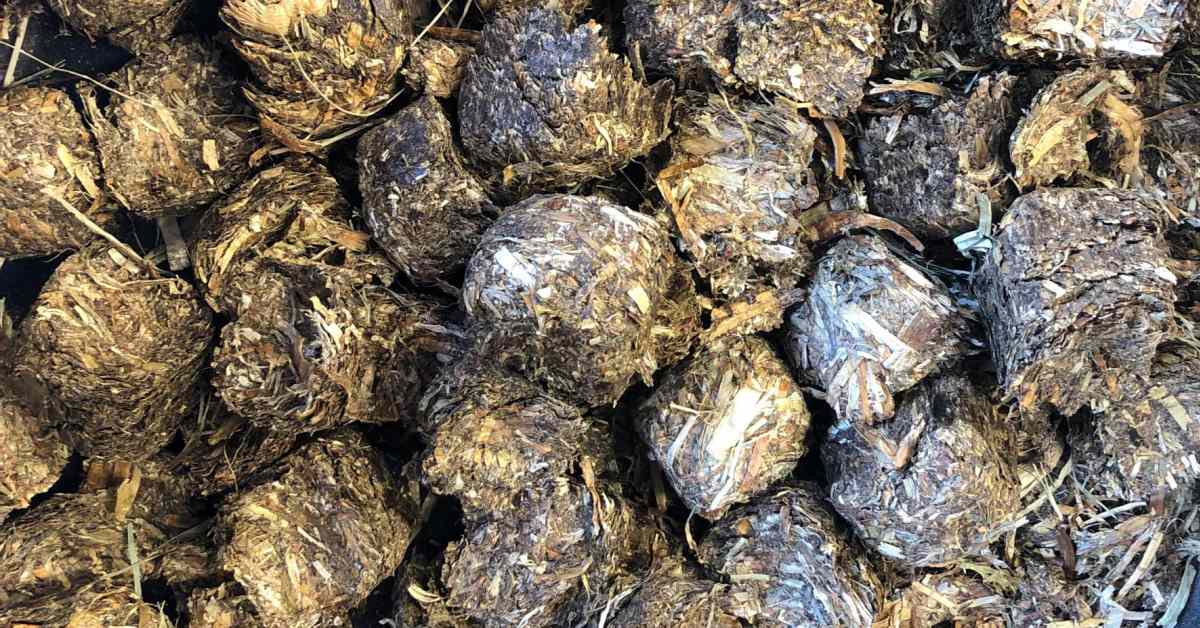 When Hay Is In Short Supply, What's A Horse To Do? Paulick Report