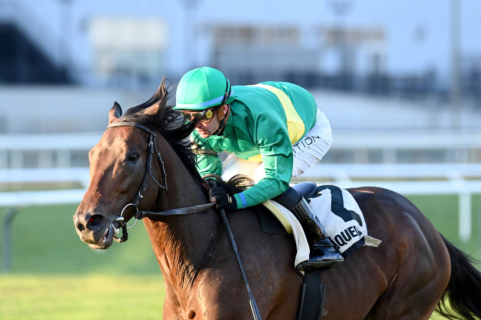 Equibase Analysis: Can Invading Cairo Upset Integration In Arlington Million?