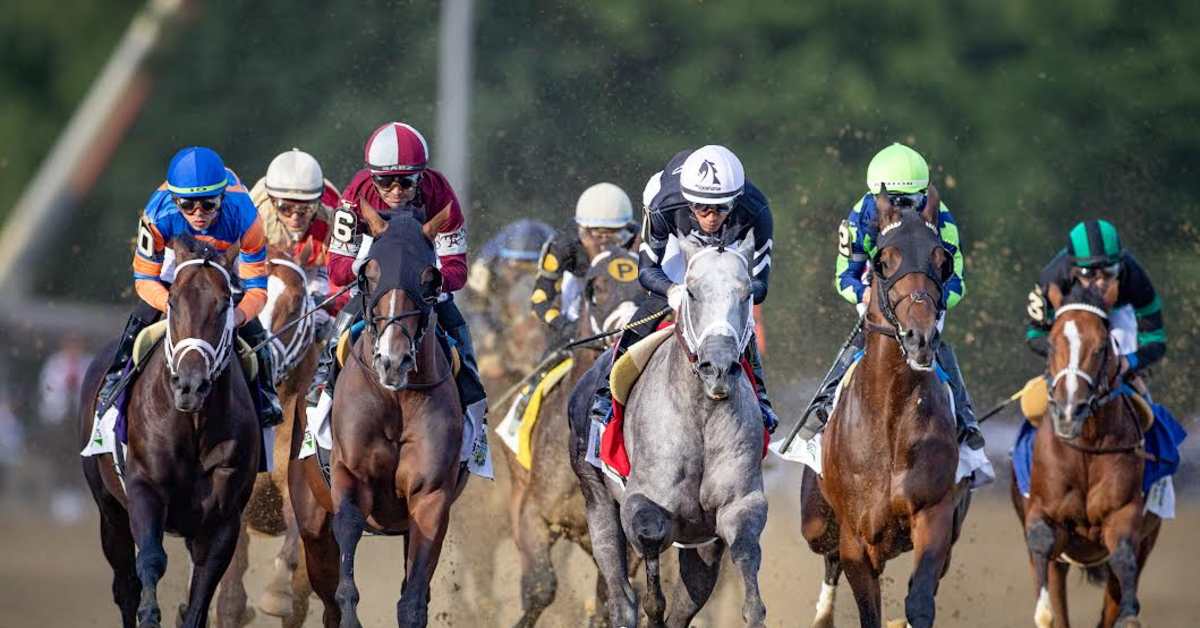 The Haiku Handicapper Presented By NYRA Bets: 2025 Belmont Stakes