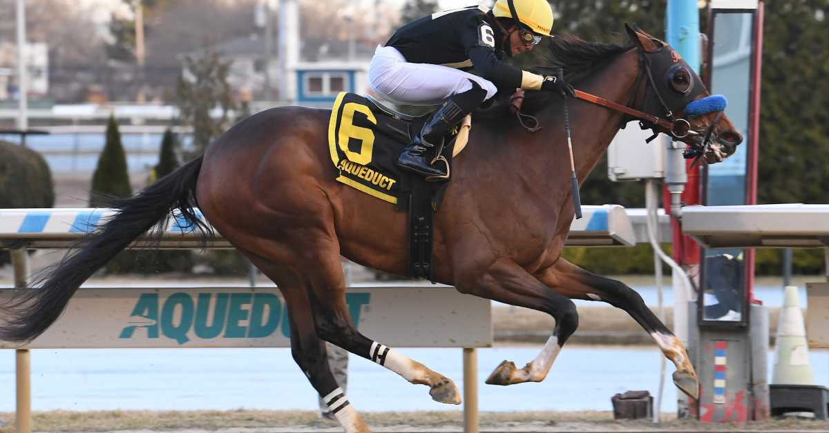'Special Horse': Cyclone State Makes All For Comfortable Win In Jerome ...