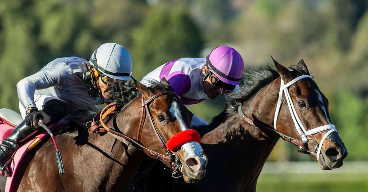 Michael Mccarthy Horse Trainer 2025 Calendar 