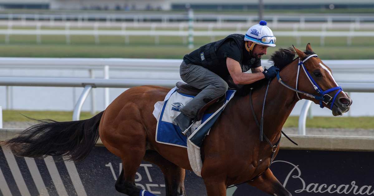 Mystik Dan Drills 'Happy FiveEighths' At Gulfstream Ahead Of Pegasus