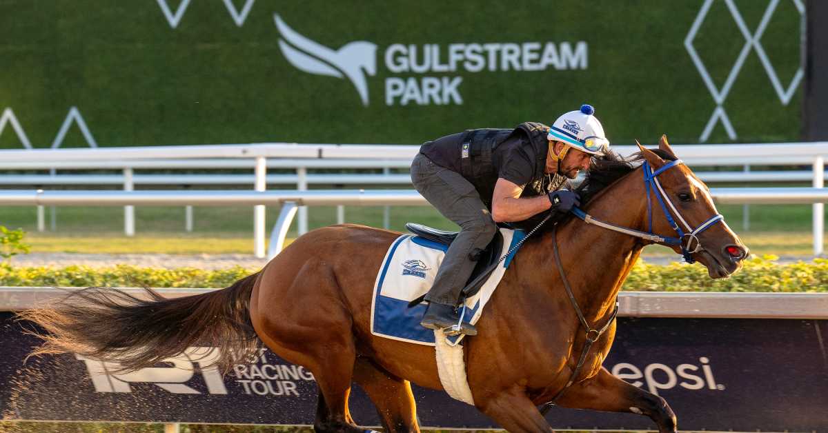 Kentucky Derby Winner Mystik Dan Begins Year In Pegasus World Cup Paulick Report Latest news