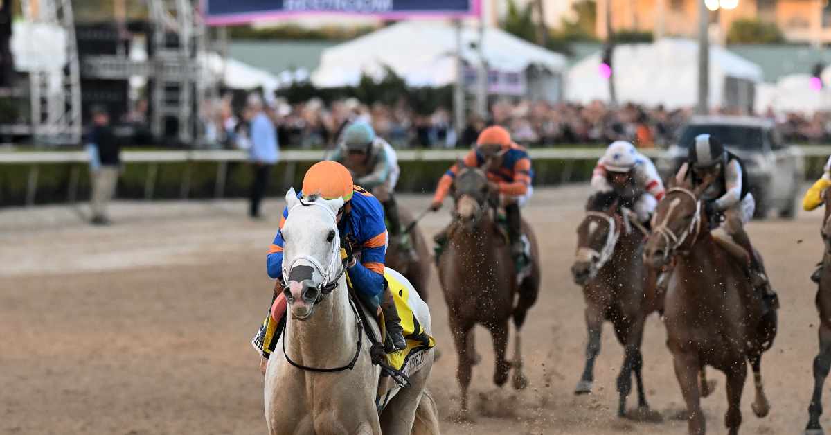 'OnceInA Lifetime Horse' White Abarrio Romps To Pegasus World Cup