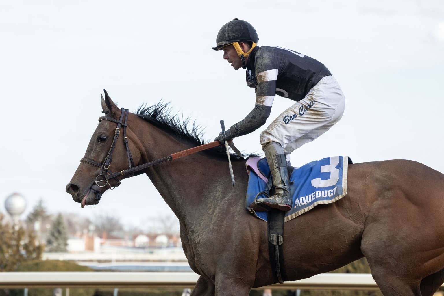 Drexel Hill Leads Field Of Six In Tampa Bay Down’s Wayward Lass Stakes