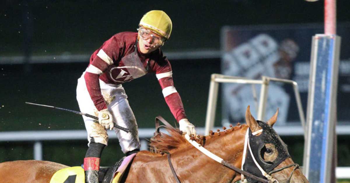【CSR】 Red Hare, Unrivaled Stallion - EVP 0d26ff3df49d5634498f9aa3b7ccf7