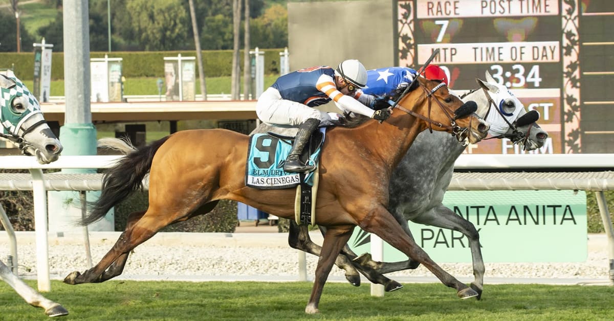 Bloodlines Las Cienegas Winner Honey Pants Proves Worth The Wait