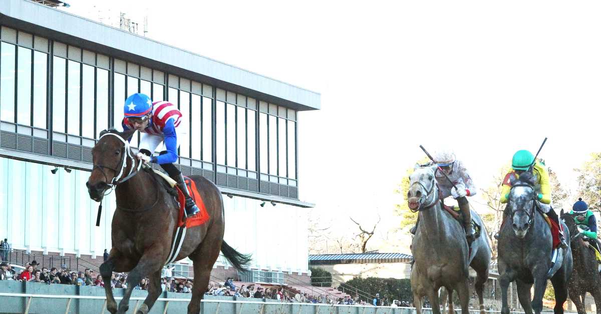 Benedetta Extends Win Streak In American Beauty