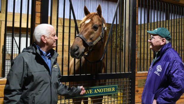 John Nicholson, President and CEO of Old Friends, left, and Michael Blowen, founder of Old Friends, right, welcome 2012 Kentucky Derby winner, I'll Have Another to the farm for his retirement.  