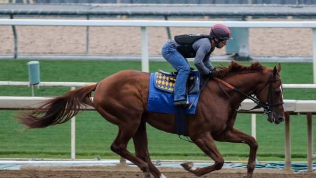 Magnify, son of champions Stellar Wind and Justify, will make his racing debut Saturday