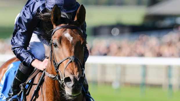 City of Troy remains on target for the Epsom Derby