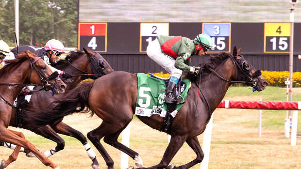 Sparkle Blue wins the Big Dreyfus with with regular rider Jorge Ruiz aboard