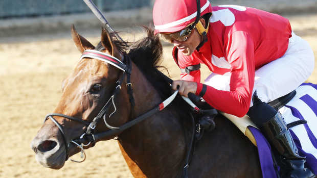 Iroquois (G3) winner Jonathan's Way, under Joel Rosario