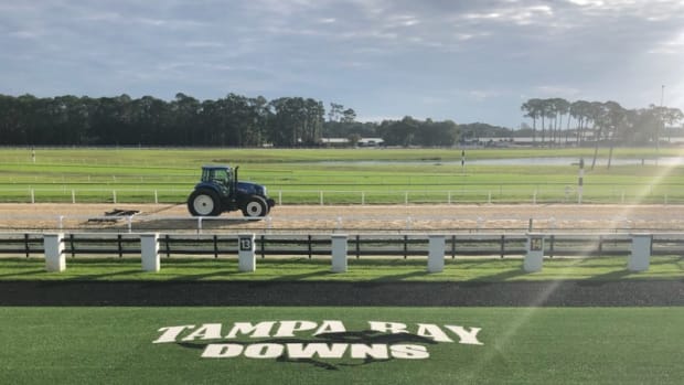 Tampa Bay Downs 2025 Schedule Image