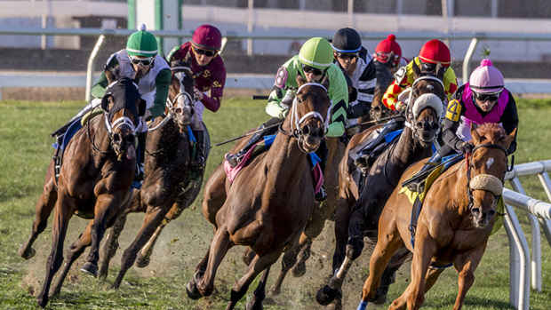 Racing over the turf at Fair Grounds in New Orleans, La.