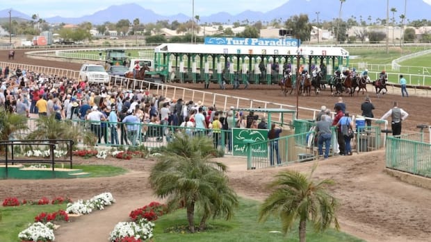 Turf Paradise in Phoenix, Ariz.