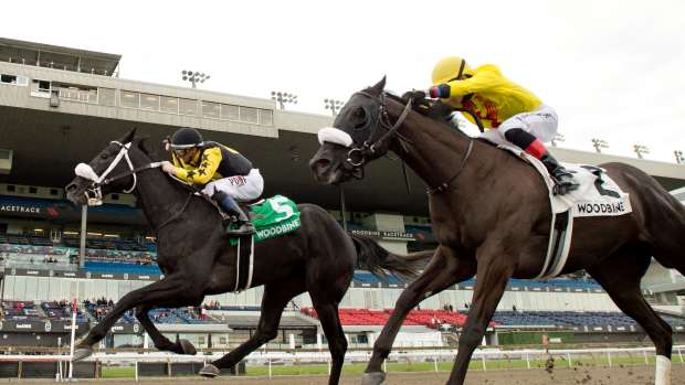 Church and State, #5, under Rafael Hernandez, wears down Incoming to win the King Corrie