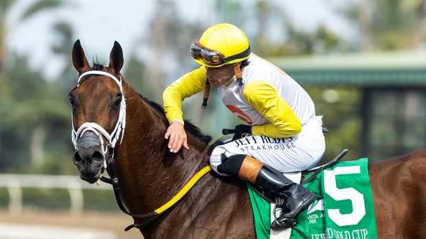 Skippylongstocking, winner of the 2025 Hollywood Gold Cup,  Irad Ortiz Jr. aboard