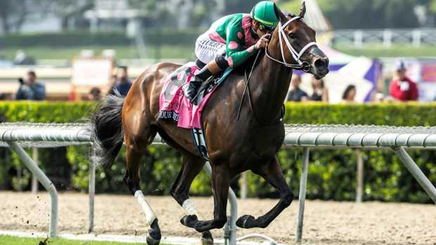 Be Your Best was much the best in the Gamely under Irad Ortiz Jr.