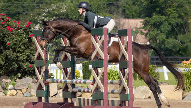 Diamond Bachelor ridden by Allison Andrews at the New Vocations Charity Horse Show in 2025