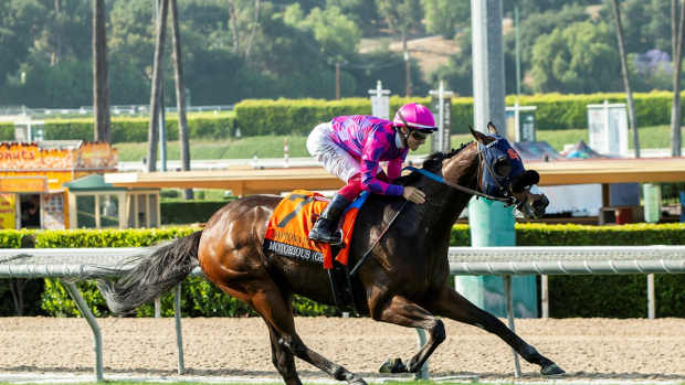 Seven-year-old Motorious wins Santa Anita's Daytona (G3) under Antonio Fresu