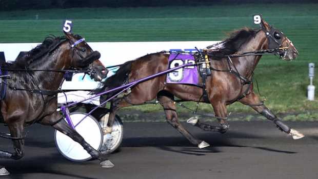 Charlie May, the horse, wins the 2023 William Haughton Memorial at The Meadowlands.