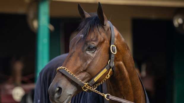 Pacific Classic (G1) winner Fierceness