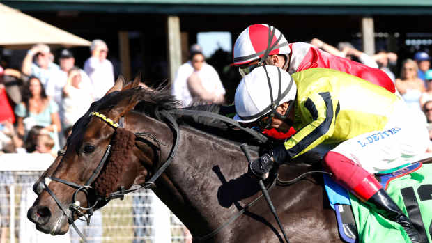 Wimbledon Hawkeye edges Burnham Square in the Nashville Derby (G3) at Kentucky Downs