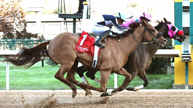 American Law (inside) gives trainer Sarah Shaffer her first career training win