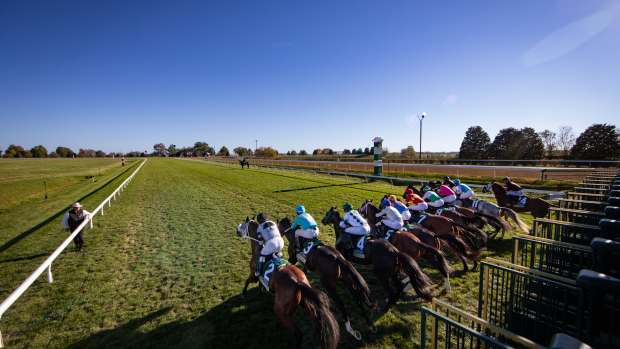 generic horse racing keeneland turf