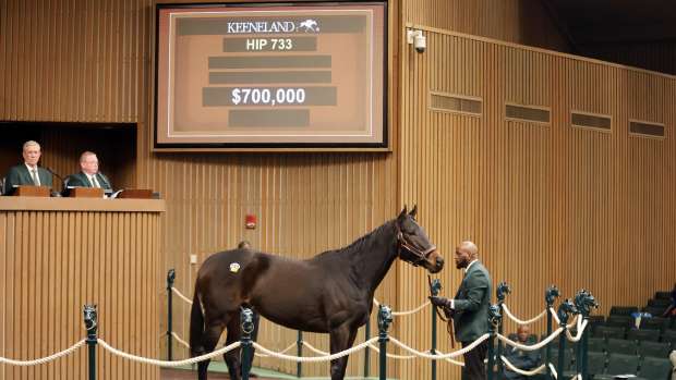 Hip 733, Love to Shop, sells for $700,000 at the 2025 Keeneland January Sale