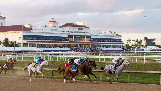 Saudi Crown sets the pace as the field rounds the first turn in the Pegasus World Cup