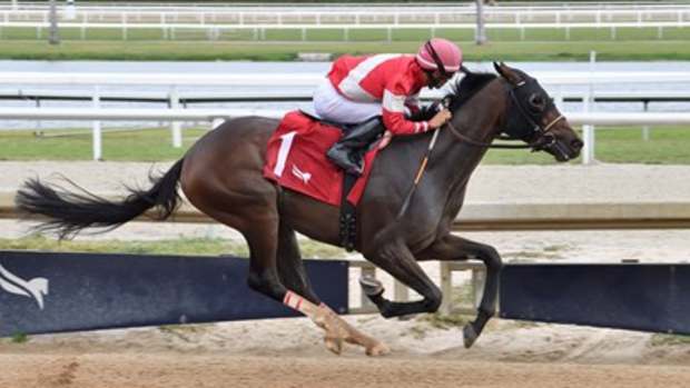 Burnham Square wins a maiden special weight at Gulfstream Park on Dec. 28, 2024