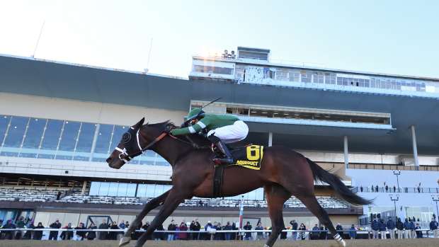 Captain Cook and Manny Franco drive toward a win in the Withers