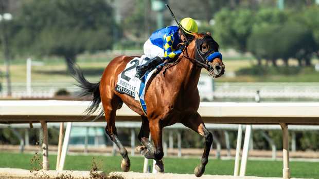 Champion Citizen Bull returned with a victory in the Robert B. Lewis Stakes at Santa Anita