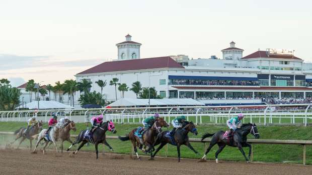 Disco Time leads the field in the first turn of the 2026 Pegasus World Cup (G1)