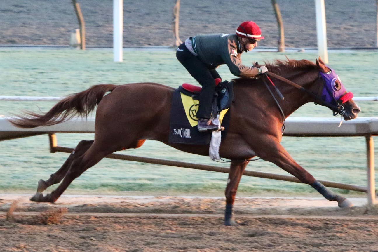 Doug O’Neill Hopes Texas Derby Winner E J Won The Cup Can Ice Rivals In ...