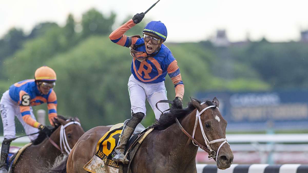 Donegal Racing To Give Season To Belmont Stakes Winner Mo Donegal To Ortiz  - Paulick Report | Latest news and commentary from the horse racing and  equine world