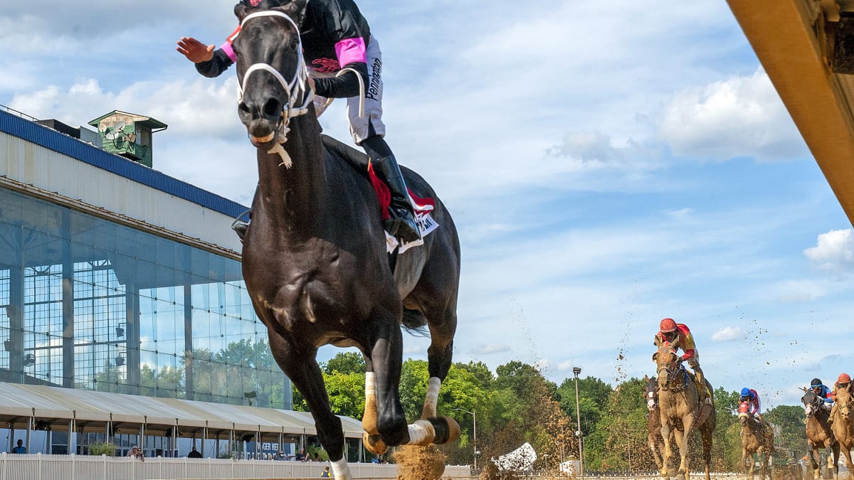 Ridin With Biden Easy Winner Of Deputed Testamony At Laurel, Divine  Huntress Among Four To Take Undercard Stakes For MD-Breds - Paulick Report  | Shining Light on the Horse Industry